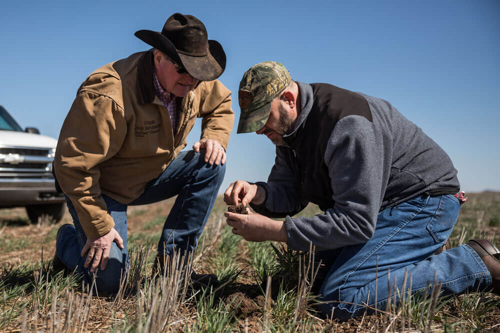 贵族顾问吉姆·约翰逊（Jim Johnson）与牧场主一起检查了一块土壤。