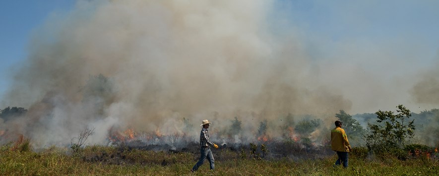 随着烟雾从火灾升起，牧场主的牧场主看起来就会看。