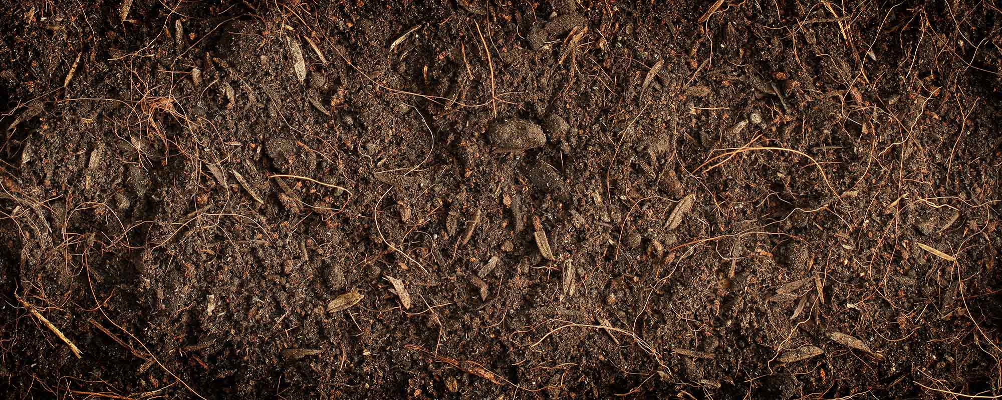 有机物在土壤中做什么
