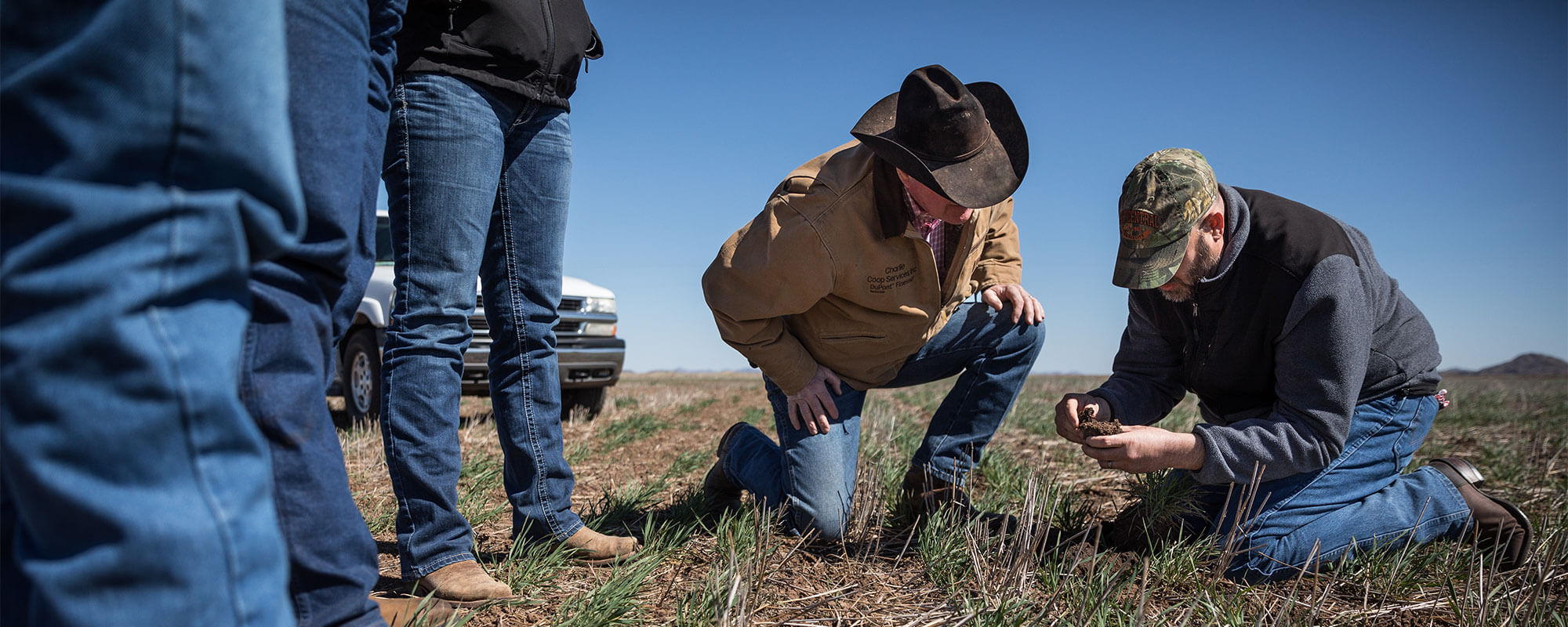 Ranchers检验土壤