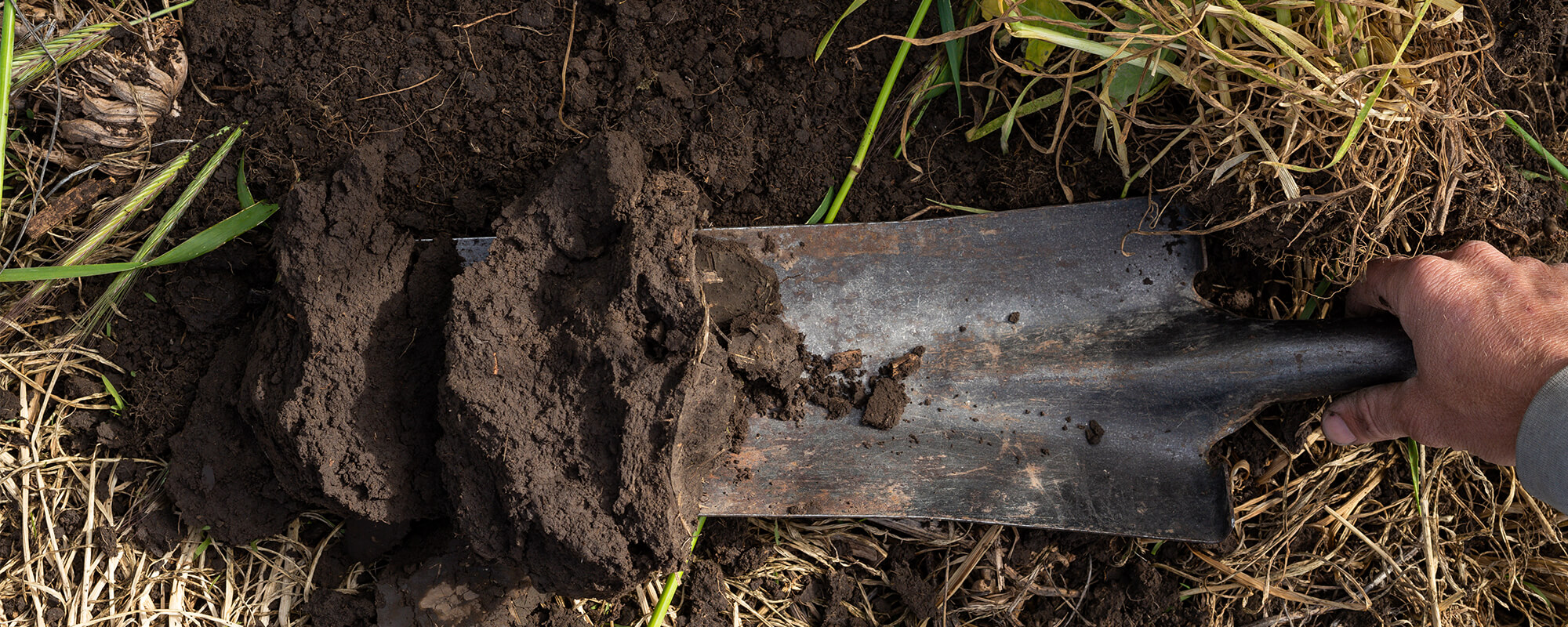 Shovel挖掘土壤
