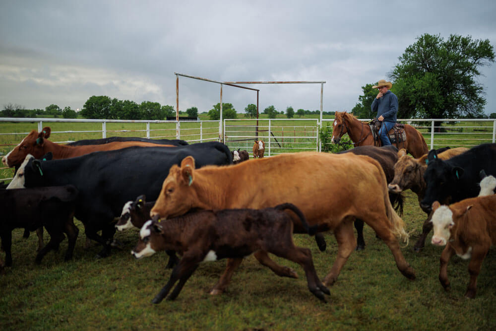2022年5月FFAR牛园排序