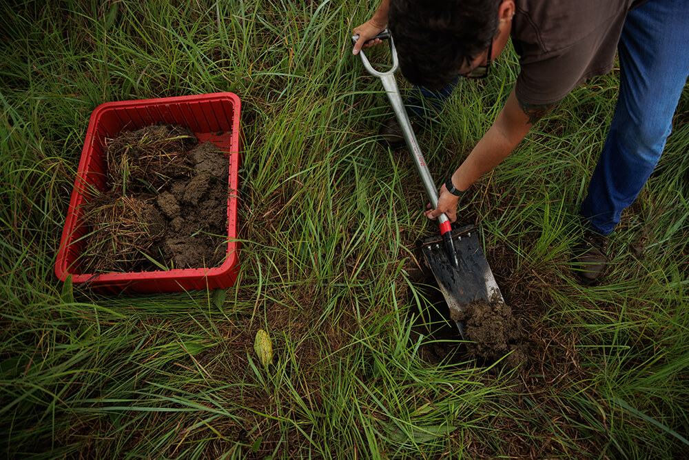 挖掘土壤洞
