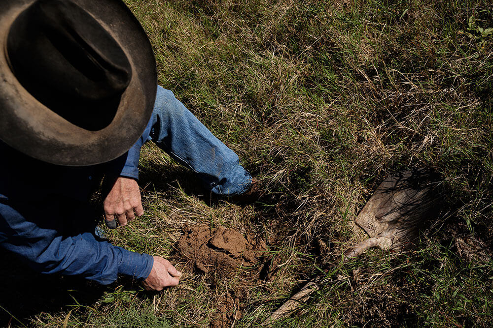 Rancher检验土壤