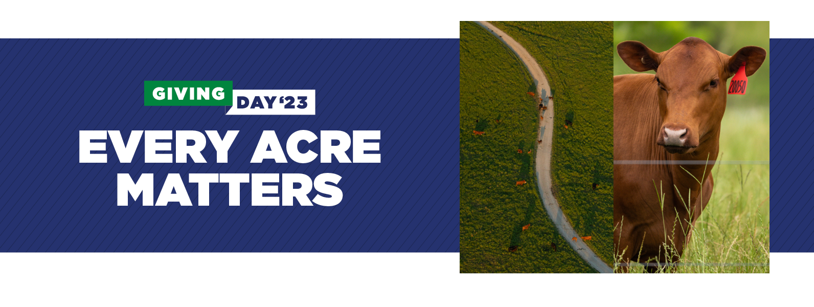 Giving Day ‘23 | Every Acre Matters